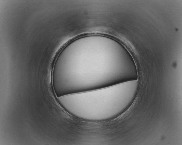 X0000098041224200803280746