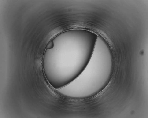 X0000098041225200803280746