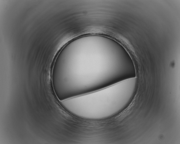 X0000098041226200803280746