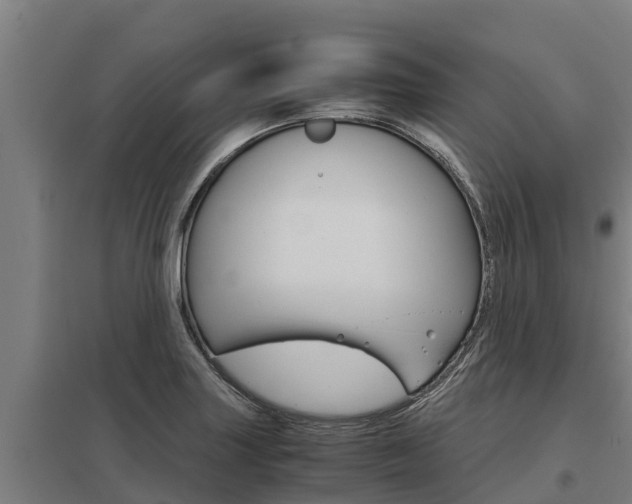 X0000098041227200803280746