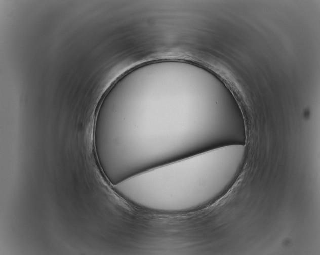 X0000098041228200803280746