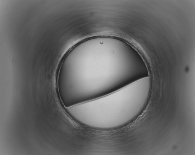 X0000098041230200803280746