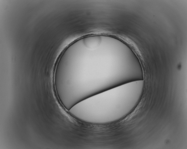X0000098041231200803280746