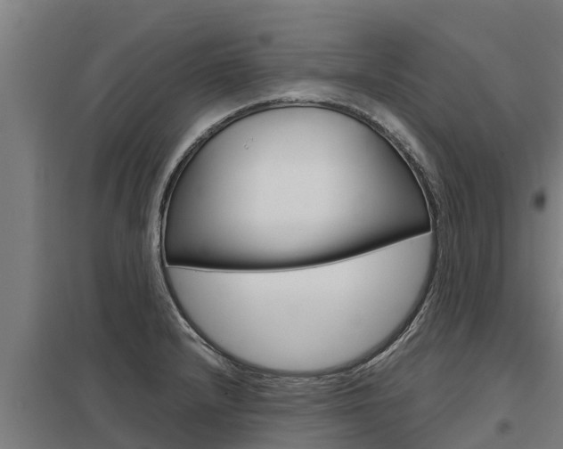 X0000098041232200803280746