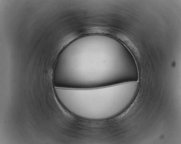 X0000098041233200803280746