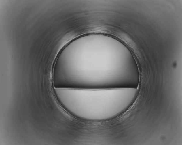 X0000098041234200803280746