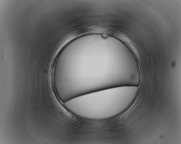 X0000098041235200803280747