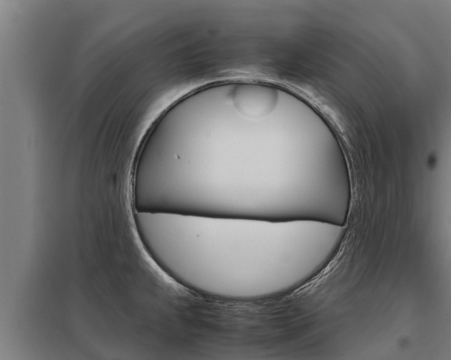 X0000098041239200803280747