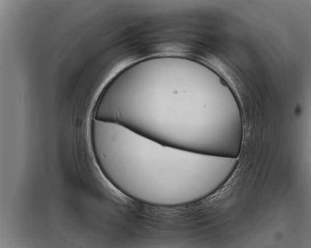X0000098041243200803280747