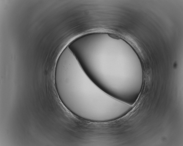 X0000098041244200803280747