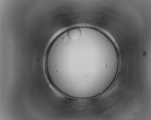 X0000098041245200803280747