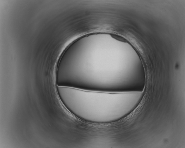 X0000098041246200803280747