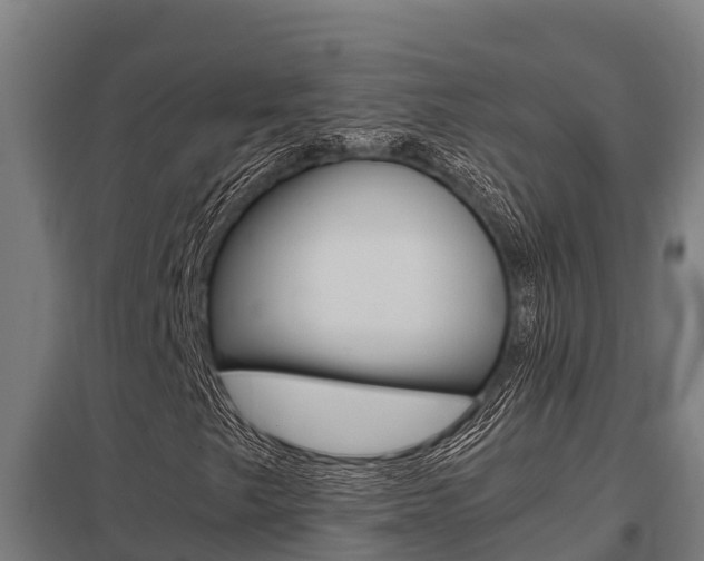 X0000098041249200803280746