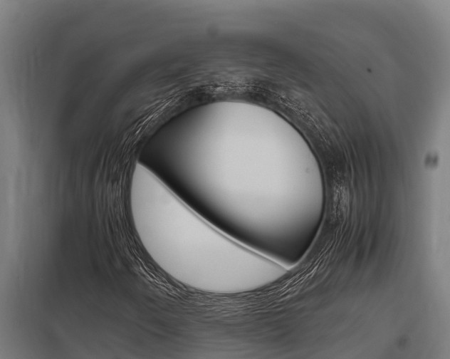 X0000098041250200803280746