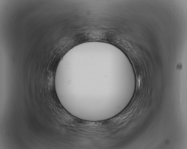 X0000098041251200803280746