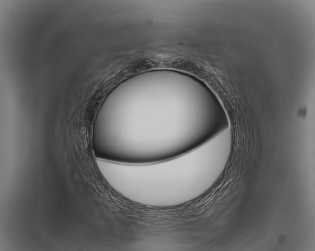 X0000098041253200803280746