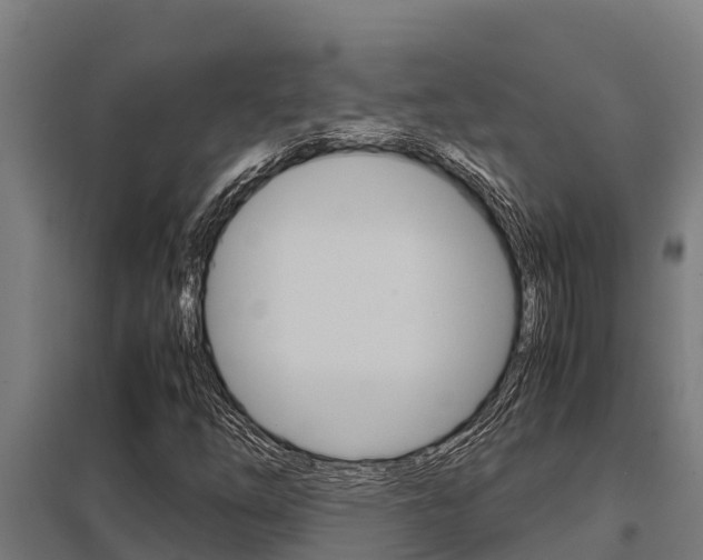 X0000098041254200803280746