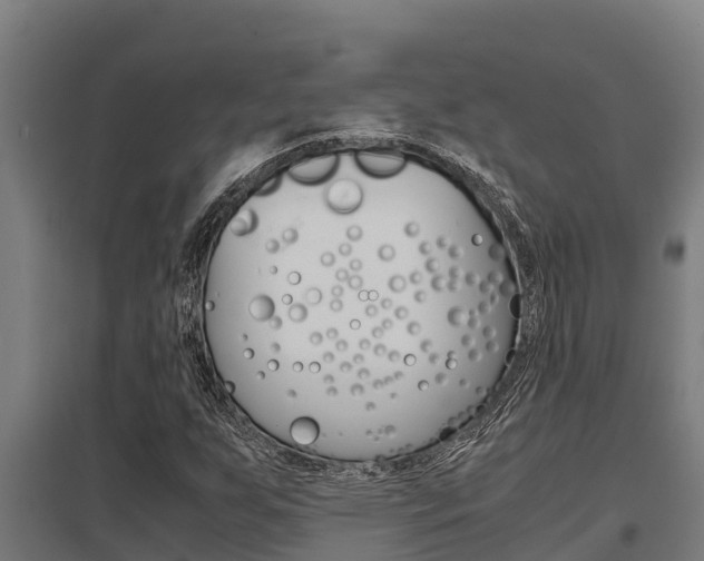 X0000098041255200803280746