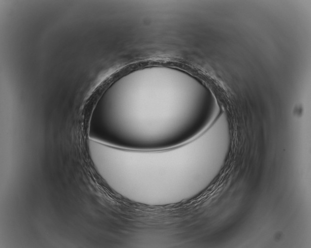 X0000098041256200803280746