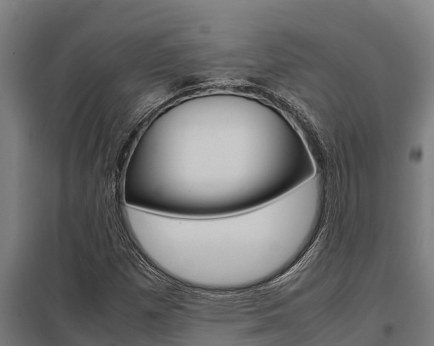 X0000098041257200803280746