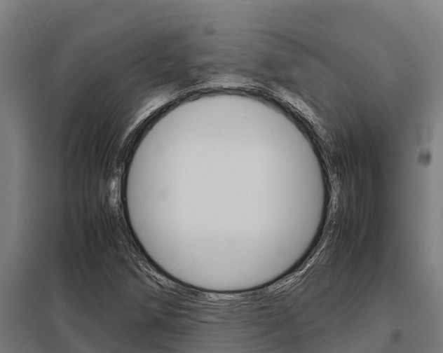X0000098041258200803280746