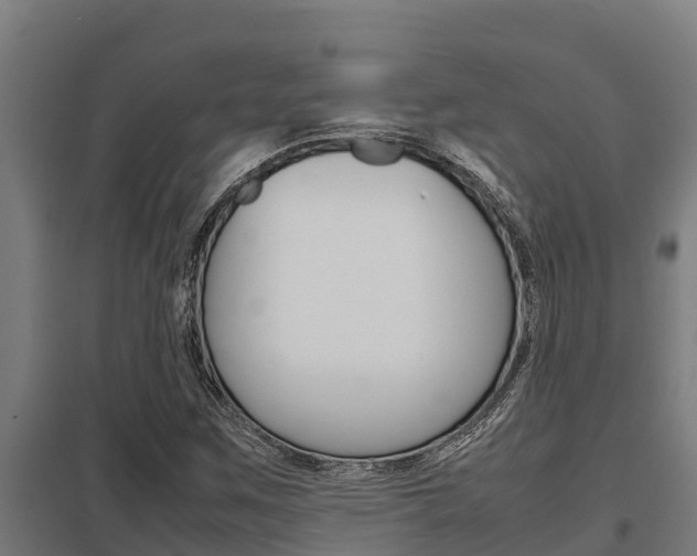 X0000098041259200803280746