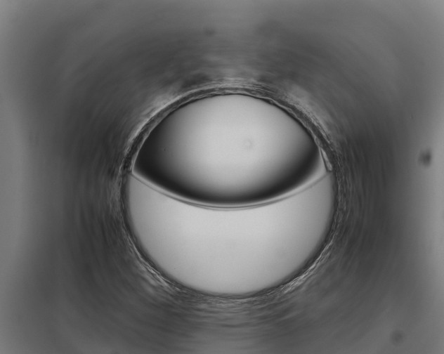 X0000098041260200803280746