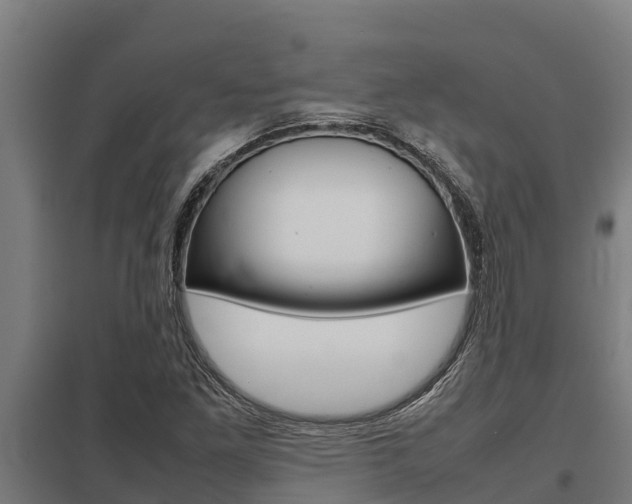 X0000098041261200803280746