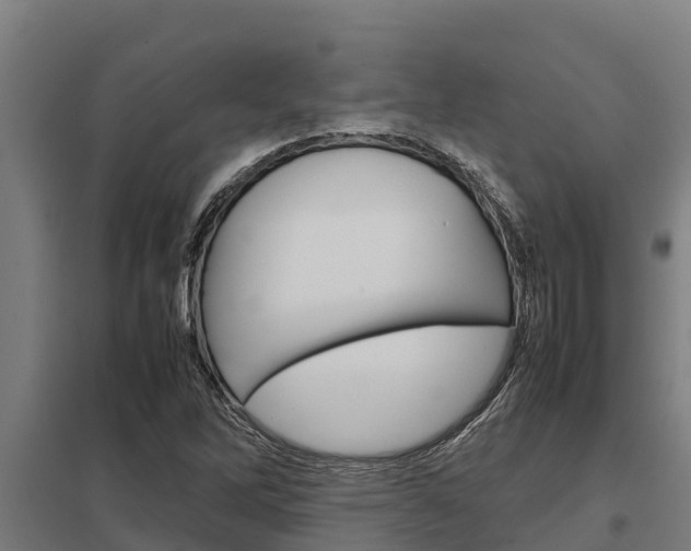 X0000098041262200803280746