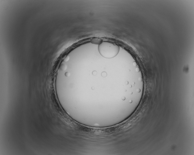 X0000098041263200803280746