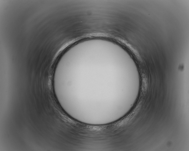 X0000098041266200803280746