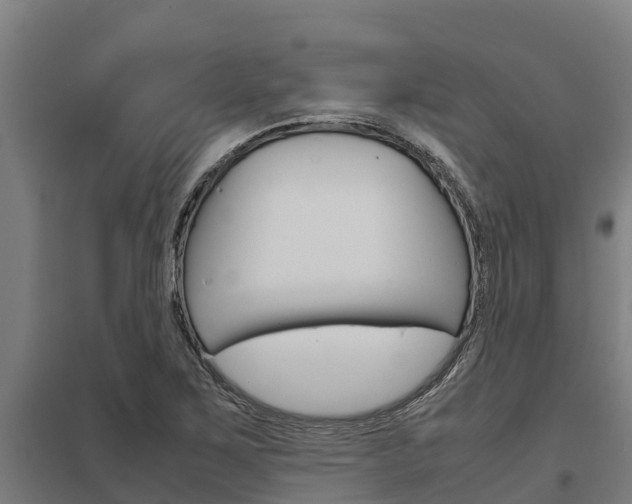X0000098041267200803280746