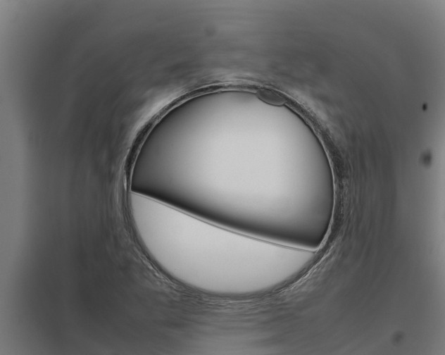 X0000098041269200803280746