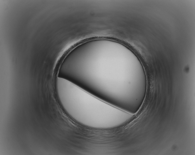 X0000098041270200803280746
