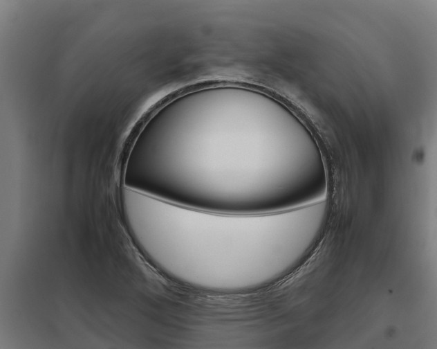 X0000098041272200803280746