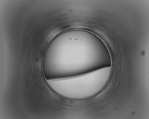 X0000098041273200803280746