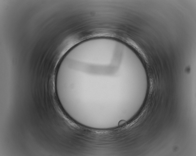 X0000098041274200803280746
