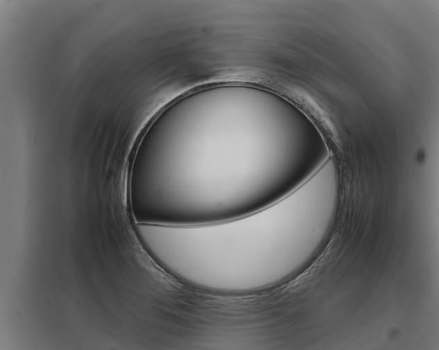X0000098041276200803280745