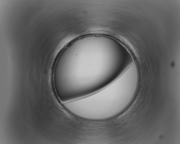 X0000098041277200803280745