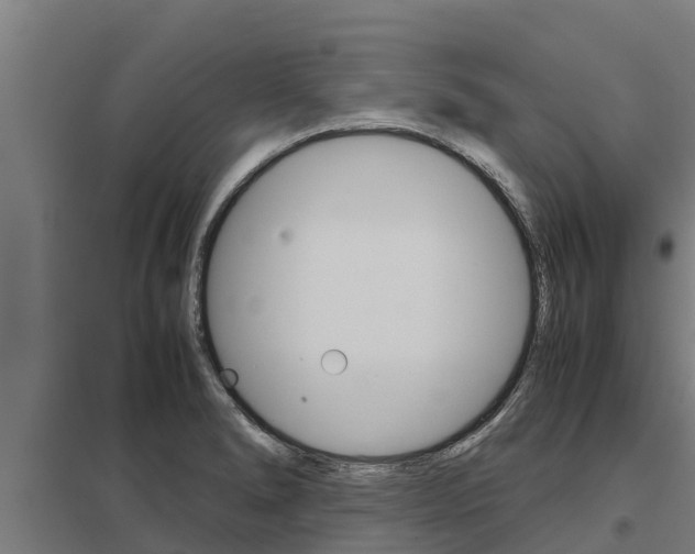 X0000098041278200803280745