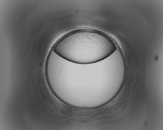 X0000098041279200803280745