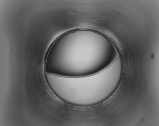 X0000098041280200803280745