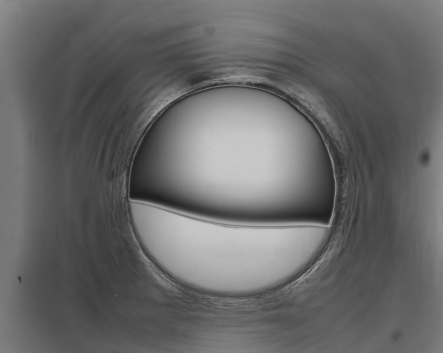 X0000098041281200803280745