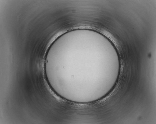 X0000098041282200803280745