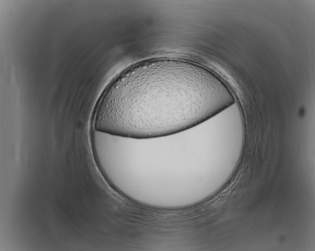 X0000098041283200803280745