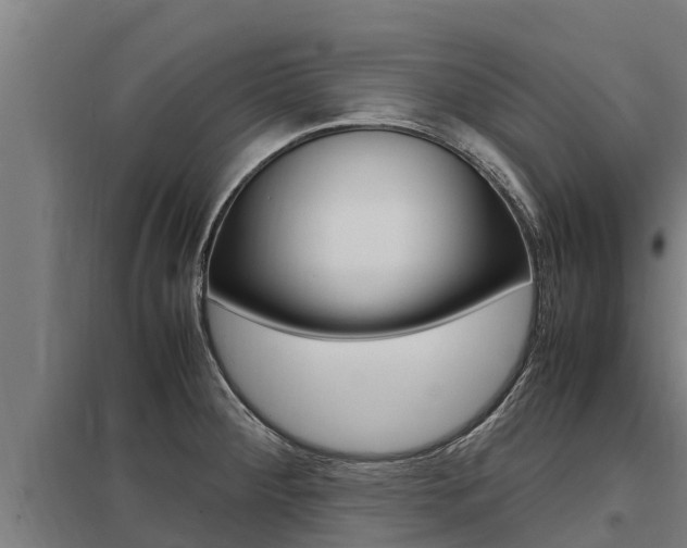 X0000098041284200803280745
