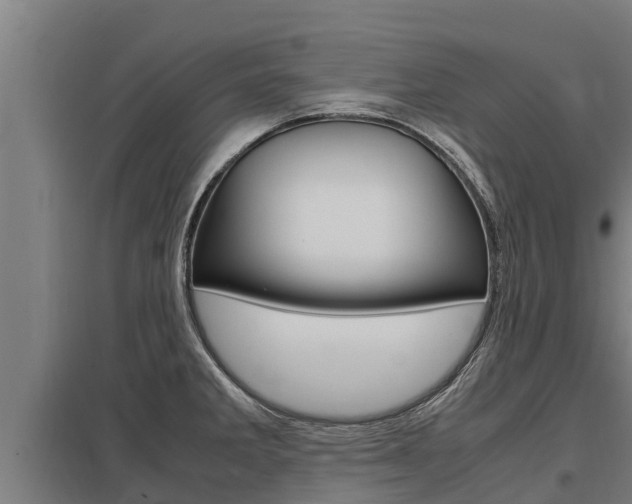X0000098041285200803280745