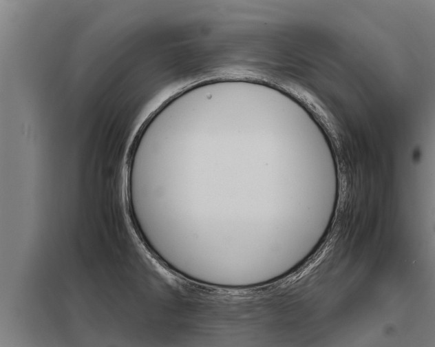 X0000098041286200803280745