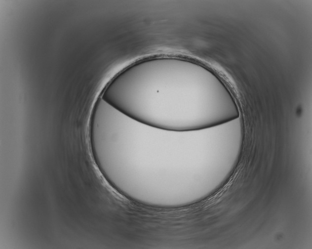 X0000098041287200803280745