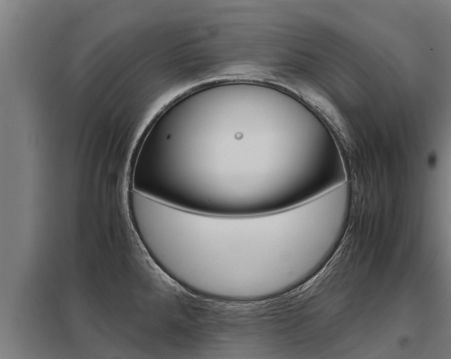 X0000098041288200803280745